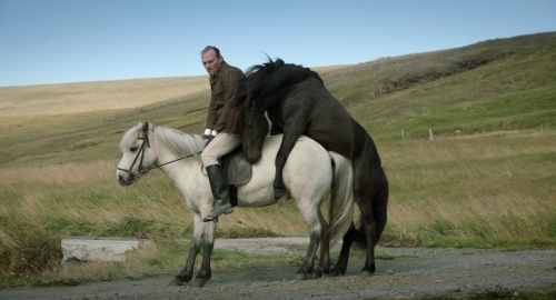 Image du film Des chevaux et des hommes