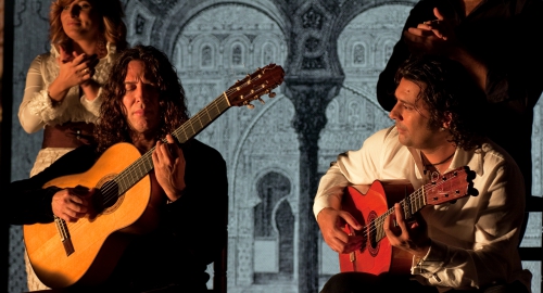 Image du film Flamenco Flamenco